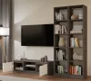 RTV120 TV szekrény, 120x36x40 cm, antracit-fehér